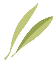feuilles olivia et mickael feval